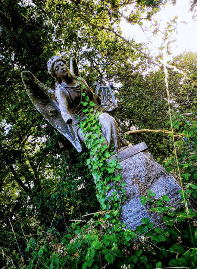 rosary road cemetary norwich