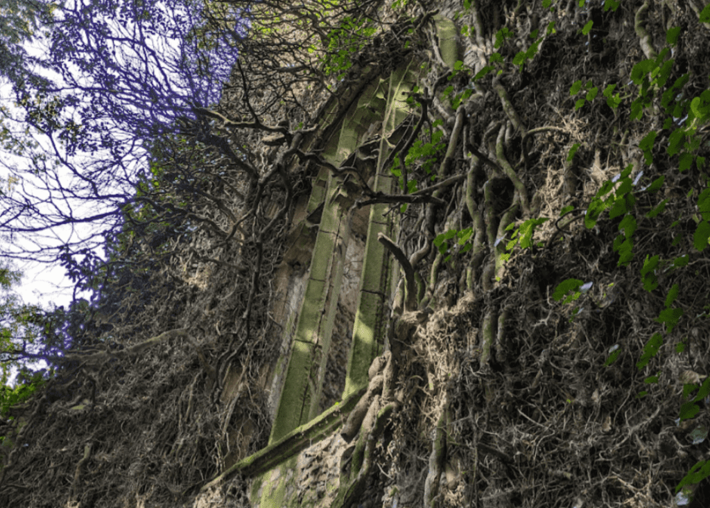 st georges hindolveston norfolk ruins