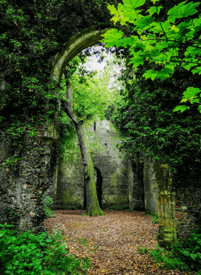 st marys east somerton ruins norfolk