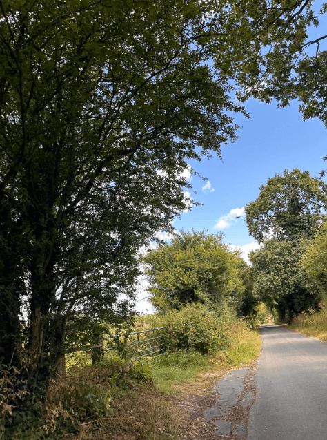 low road mill lane blackberry picking near norwich keswick