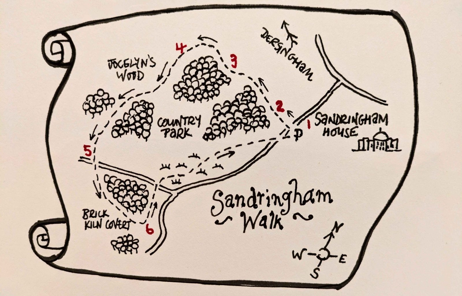 dog friendly circular walks sandringham estate