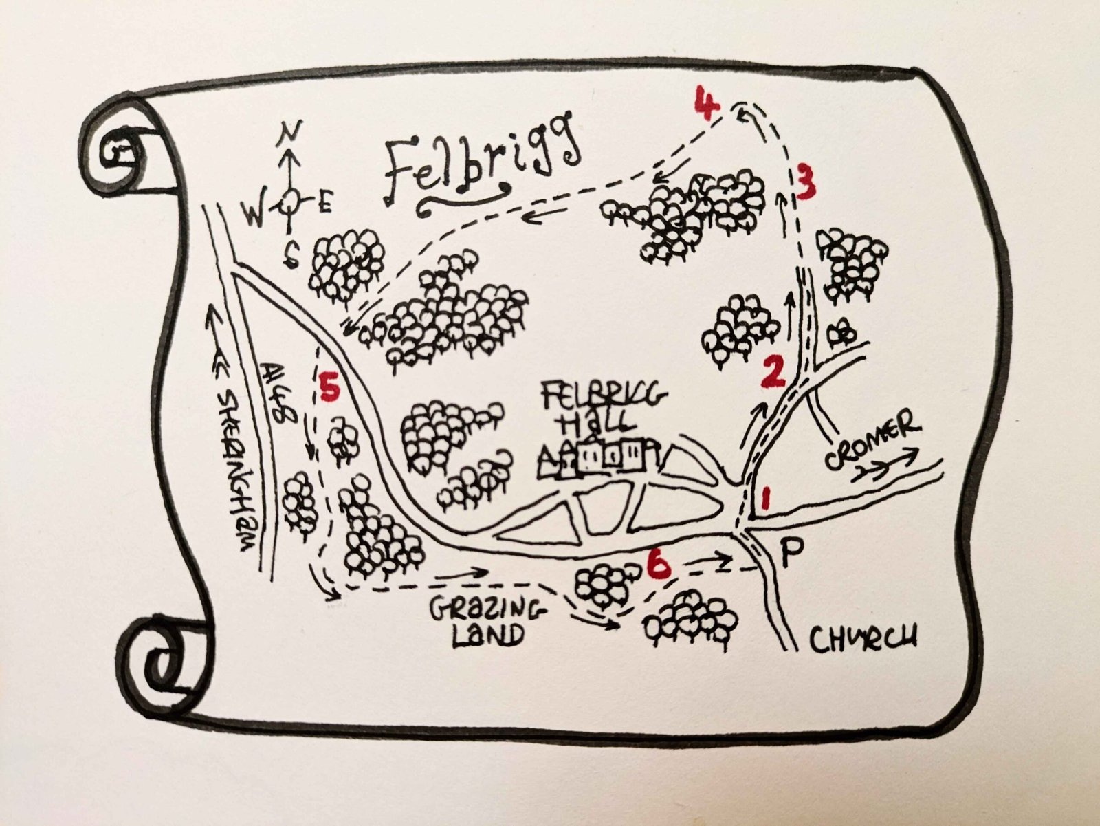 felbrigg dog friendly circular walks