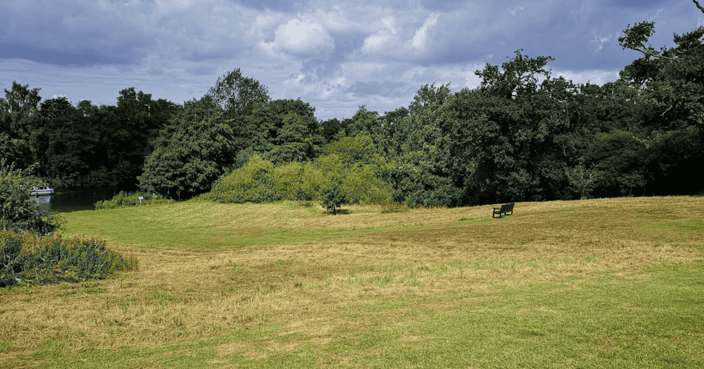 best norfolk picnic spot