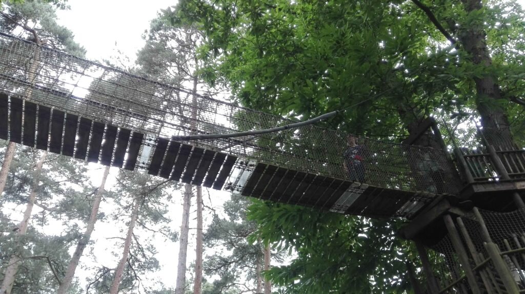 bewilderwood kids day out