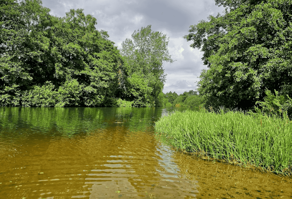 caen meadow wroxham norfolk picnic spot