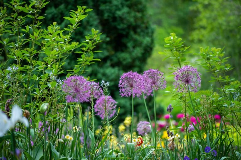 plantation garden norwich