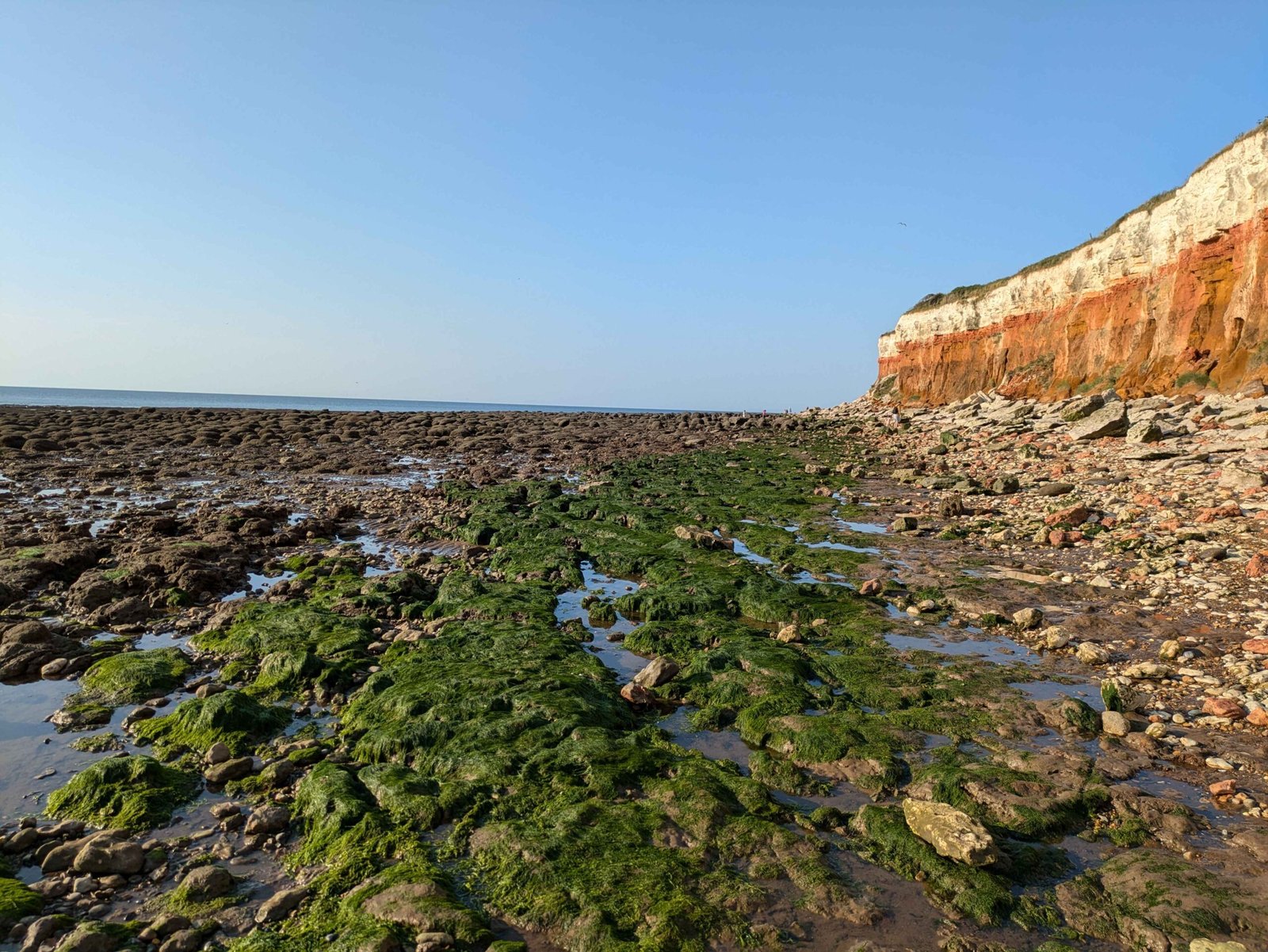 things to do with kids in norfolk hunstanton