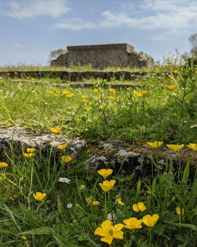 binham priory norfolk English heritage
