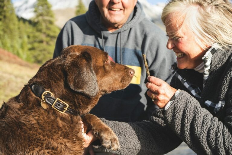 dog friendly Norwich Cafe walks hotels