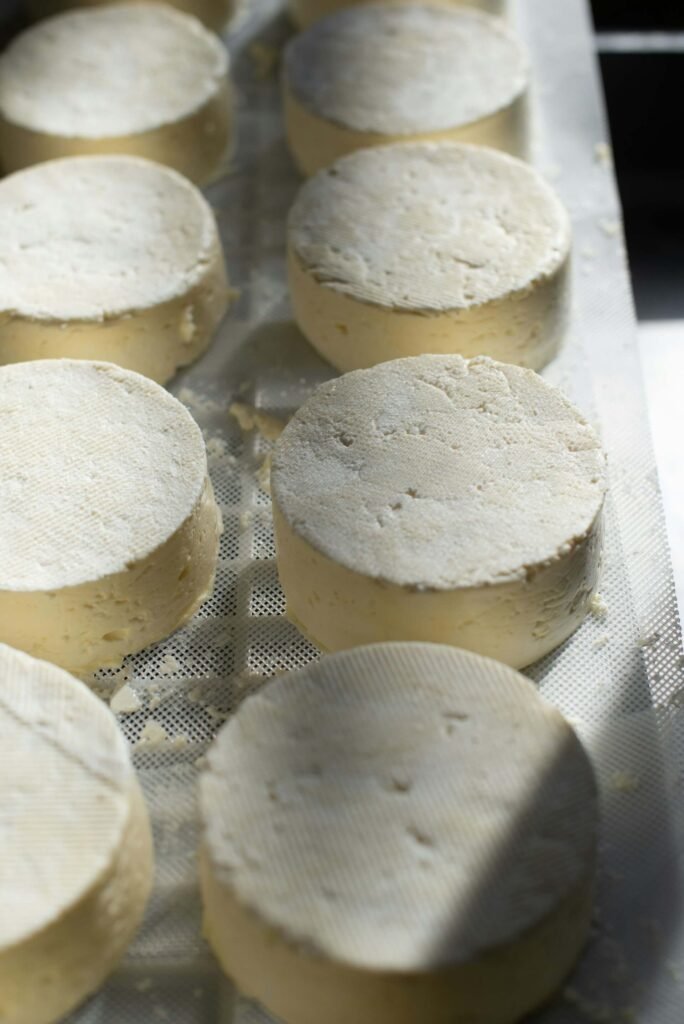 local cheese suppliers