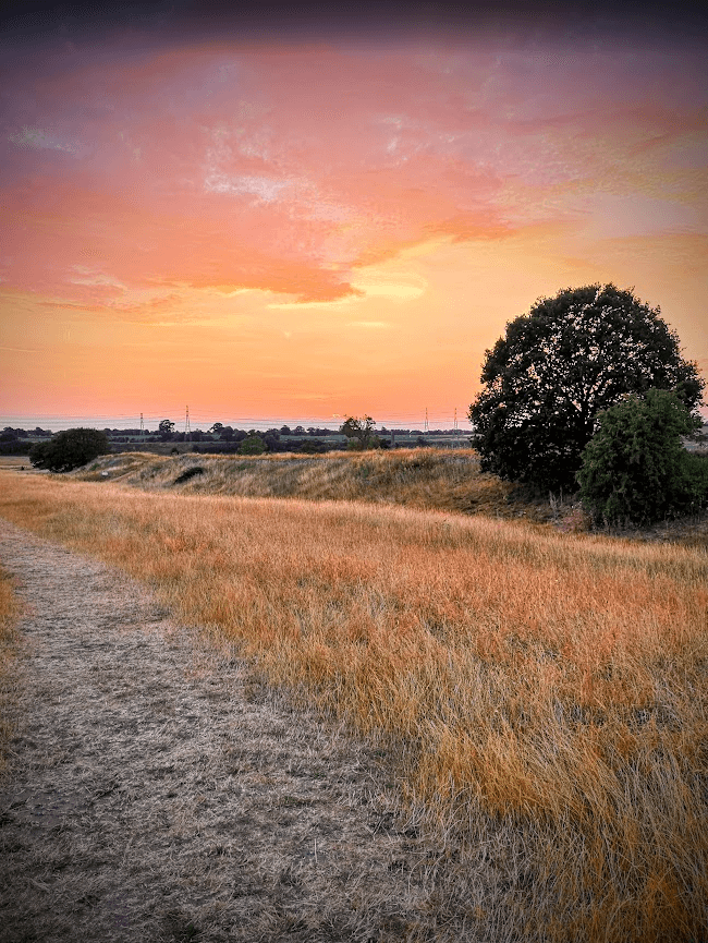 caistor st Edmund sky views