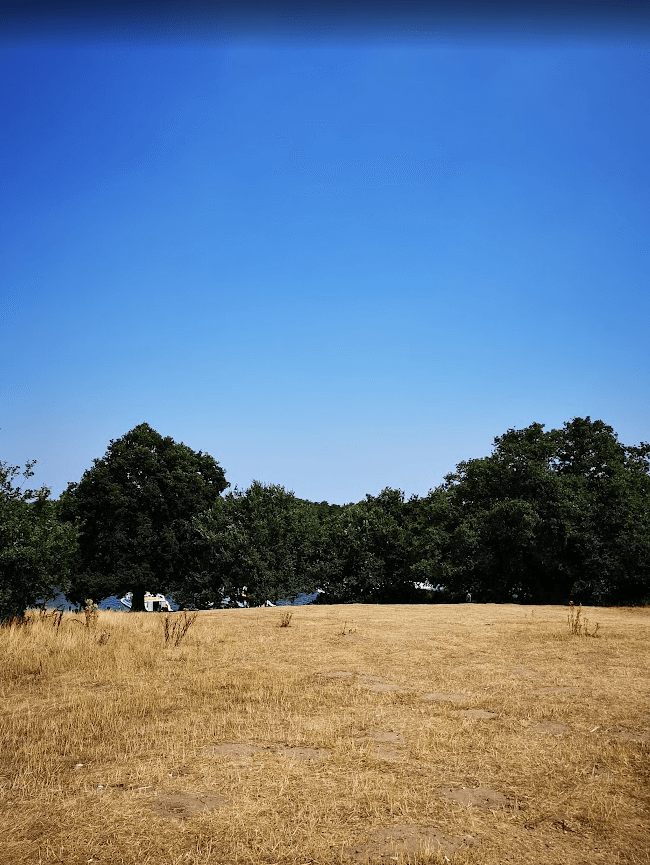clear skies over heathland at salhouse broad